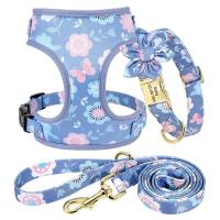 Collar personalizado perros pequeños y grandes, arnés transpirable con grabado Floral, bolsa para golosinas, 3 o 4 unidades - details 14