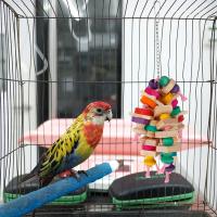 Juguetes para masticar loros, jaula de bloques de madera para morder, juguete divertido para masticar, escalar, morder, nudos de madera - details 1