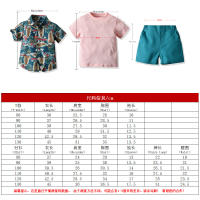 Ropa de verano para niños, camisas de manga corta estampadas, camisetas para bebés, conjunto informal de tres piezas, festival del Agua con salpicaduras - details 31