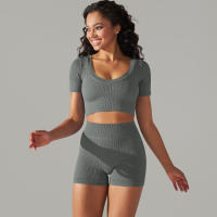 Hamidou-Conjunto de ropa deportiva sin costuras para mujer, Leggings de cintura alta, camisetas de manga corta, pantalones cortos, conjunto de 2 piezas, ropa de gimnasio - details 13