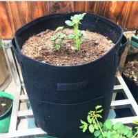 Bolsa para cultivo de plantas, tela no tejida duradera, patatas fritas, jardinería, transpirable, duradera, resistente al viento y a la lluvia, 5 - details 5