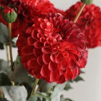 Rama de crisantemos artificiales de 80cm, 2 cabezas, simulación de tacto Real, flores de Dalia, arte Floral, flores falsas de seda hechas a mano - details 9