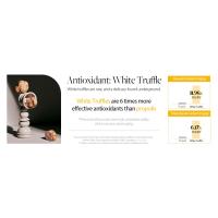 antioxidant