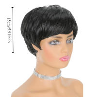 Pelucas sintéticas cortas de corte Pixie, peluca en capas de pelo Bob con parte lateral y flequillo esponjoso, extensión de cabello Natural para mujer, pelucas rectas para uso diario - details 0
