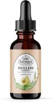 Lung Naturals Drops Lungs, extracto concentrado de hoja de gordolobo 10:1 para la salud respiratoria, sabor natural a fresa y limón, - details 0
