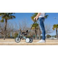 Bebé 5 en 1 Interbaby. |   Bicicleta Niños Desde 1 Año hasta 5 años |   De triciclo a bicicleta con o sin pedales |   Adaptable y transformable |   Verde - details 22