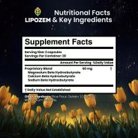 Cápsulas probióticas de zinc graso Lipozem - details 1