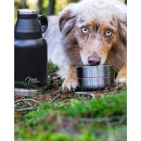 Milu Termo para Comida 300ml, 440ml, 450ml, 650ml, 800ml Taza Aislada, Botella de Acero Inoxidable Aislada para Alimentos, Beber y sopa de niños y adultos Termo a prueba de fugas (650ml/Gris) - details 15