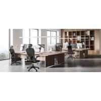 Silla Oficina Ergonómica con Soporte Lumbar, Silla de Escritorio de Respaldo con Reposacabezas y Altura Ajustables, Reposabrazos Abatible, Silla de Ordenador para Oficina en Casa, Gris - details 0