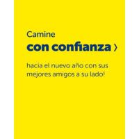Mantén tu mascota sana, segura y feliz con PetSafe
