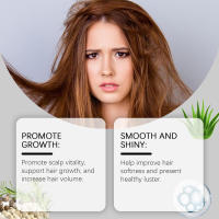 El aceite esencial de semilla de Moringa HOEGOA hidrata, ilumina, reduce el encrespamiento, suaviza y oculta el cabello. - details 5