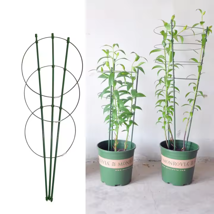 Estante de enredadera trepadora para plantas, marco de soporte de acero recubierto de plástico en maceta, soporte de enrejado decorativo para flores y verduras, 45cm/60cm, 1 pieza - 1