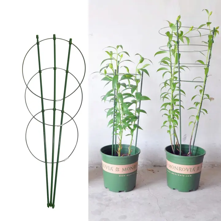 Estante de enredadera trepadora para plantas, marco de soporte de acero recubierto de plástico en maceta, soporte de enrejado decorativo para flores y verduras, 45cm/60cm, 1 pieza - 1