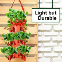 Bolsas para cultivo de fresas, suministros de plantación de jardín de alta resistencia con mango para patios traseros, terrac y - details 2