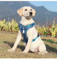 Traje de arnés de nylon para perros grandes Reflejante de luz, ajustable, seguro para paseos al aire libre - details 12