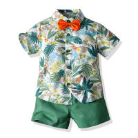 Mangas cortas de verano, camisas de flores, pantalones cortos para niños, conjunto casual de dos piezas, ropa de playa multicolor para bebés y niños - details 6