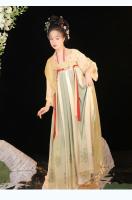 Nuevo Hanfu para adultos para mujer [Dream of Chang'an] falda Ru hasta el pecho estilo antiguo repollo primavera verano uso diario - details 8