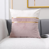 Funda de Cojín de Terciopelo ANUMEI 30x50cm 45x45cm Cubierta Decorativa para Sofá y Cama Estilo Rosa y Gris Fabricado en China - details 5