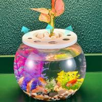 Recinto para tortugas, pecera transparente pequeña, terrario de tortuga de plástico inastillable con tapa, tanque de peces dorados, decoración del hogar - details 3
