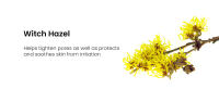 Witch Hazel