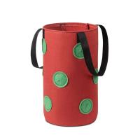 Colgante de fieltro multifuncional de 12 agujeros, tomate, fresa, éter, verduras, flores, bolsa de cultivo de plantas, jardín ETA - details 1