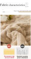 Manta gruesa de felpa de cordero para cama y sofá, Mantas cálidas, edredón de terciopelo de Coral, textiles para el hogar - details 3