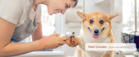 Kit de cuidado de cortapelos para perros con amoladora de uñas, cortapelos eléctrico inalámbrico 4 en 1, cortapelos USB de bajo ruido para perros, gatos, cuidado de patas, ojos, orejas, cara, pelo enredado - details 5