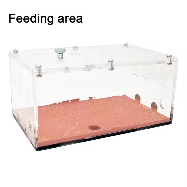 Granja de hormigas de temperatura inteligente, conexión ilimitada, área de caza, taller de hormiga de hormigón, caja de insectos - 1
