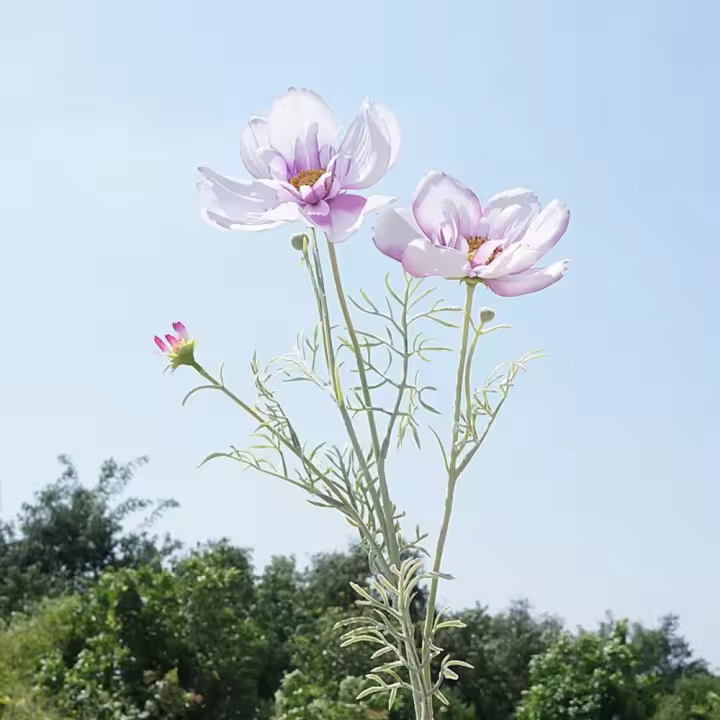 Rama de flor de Cosmos Artificial de lujo, simulación realista de plástico, crisantemo, flor falsa elegante hecha a mano - 1