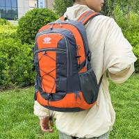 Mochila de Senderismo Multifuncional Ligera con Accesorio para Bastones de Trekking, Bolsa de Viaje y Montañismo de Nailon Duradero con Correas Ajustables, Múltiples Compartimentos y Bolsillos Laterales de Malla - Negra, Accesorios de Senderismo - details 7