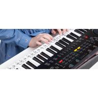 teclado musical