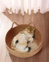 Cama tejida extraíble para gatos, casa para dormir, rascador, ratán, lavable, productos para mascotas, accesorios para las cuatro estaciones - details 1