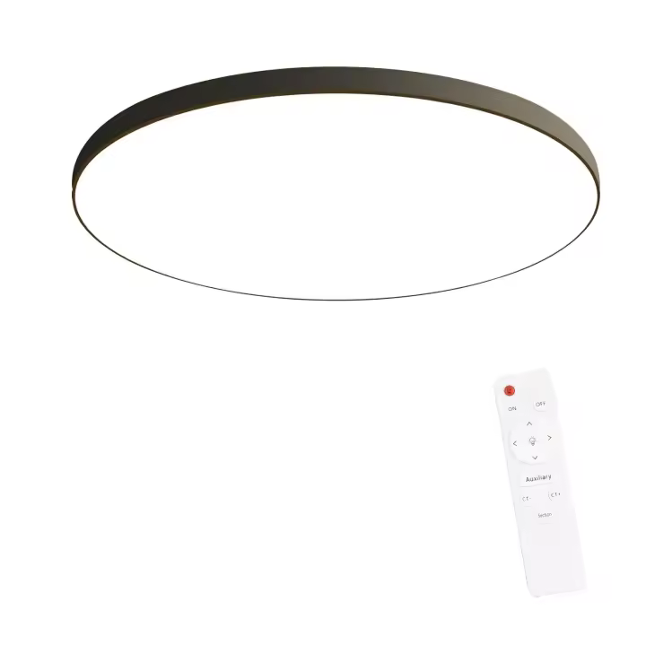 CBJKTX Luz de Techo LED Lámpara Plana para Dormitorio Lámpara de Cocina Negra Regulable 30W IP44 Lámpara de Bodega 28cm Lámpara de baño Control Remoto - 1
