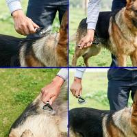 Cepillo removedor de pelo para mascotas, peine para gatos, pelo largo y corto, cuidado de mascotas, accesorios para perros - details 4