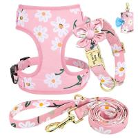 Collar personalizado perros pequeños y grandes, arnés transpirable con grabado Floral, bolsa para golosinas, 3 o 4 unidades - details 15