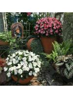 Estatua de jardín creativa elfo Go Out Tree Hug, adecuado para el hogar, patio, porche, decoración de jardín, decoración al aire libre - details 8