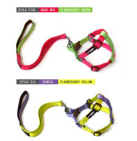 Correa para mascota, collar de correa, cadena para perro, correa de pecho a juego de colores - details 7