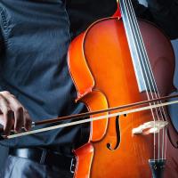 Kit de reemplazo de pelo de violín, herramientas de peinado de arco de Violín de 29,2 pulgadas, 3 piezas, pelo de violín Musical, pelo de caballo, blanco - details 2