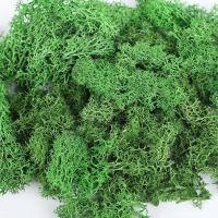 Plantas Artificiales de Colores Hierba Siempre Verde Ideal para Decoración de Hogar, Jardín, Habitación Flores Falsas - details 12