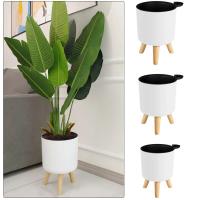 Sistema automático de riego y drenaje de plantas con patas de madera, ETA circular para pies, hierbas, bonsái de guardería, moderno - details 0