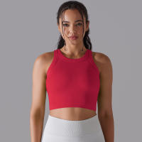 Nessaj-Chaleco deportivo sin costuras con almohadilla para mujer, sujetador de yoga, top corto de entrenamiento para fitness, gimnasio diario, correr, chaleco a prueba de golpes, sujetador elástico alto - details 13