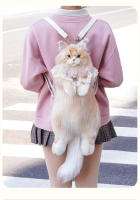 Mochila de gato de Maine, mochila de simulación, bolsa, muñeca de peluche, muñeca linda, juguete, regalo de cumpleaños - details 5