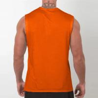 Gym Clothing Fitness Tank Tops Mens Summer Quick Dry Mesh Sports Sleeveless T Shirt Bodybuilding Singlets Running Vest - details 11
