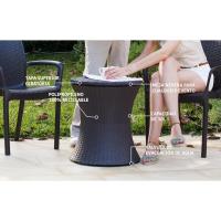 Mesa Nevera para Exterior y Jardín, Ratán, Color Crema, Capacidad 30 L, 45 latas - details 3