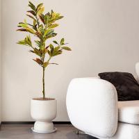 Gran Árbol de Figo Falsito Plantas Tropicales de Goma Artificial Hojas de Otoño para Decoración de Jardín para el Hogar - details 6