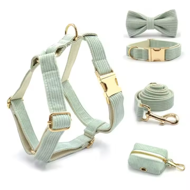 Collar pana verde menta gato, personalizado, antipérdida, para perros pequeños, medianos y grandes, suave, conjunto de correa - 1