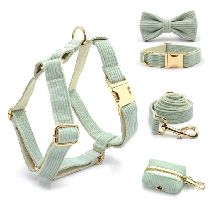 Collar Pana Verde Mint, personalizado, antipérdida, para Perros Pequeños, medianos y grandes, elegante, Conjunto de Correa - 1