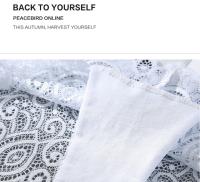 Bragas Sexys De Encaje Para Mujer, Ropa Interior, Tanga de Espalda En T, Pantalones De Cintura Baja, Lencería Íntima, Perspectiva, 4XL - details 8