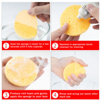 Esponjas faciales comprimidas naturales para Spa, esponja Facial de forma redonda para eliminar la piel muerta - details 2