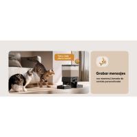 Comedero automático para Gatos